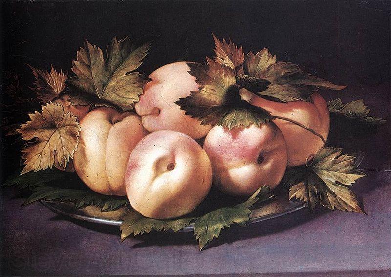 FIGINO, Giovanni Ambrogio Metal Plate with Peaches and Vine Leaves Germany oil painting art